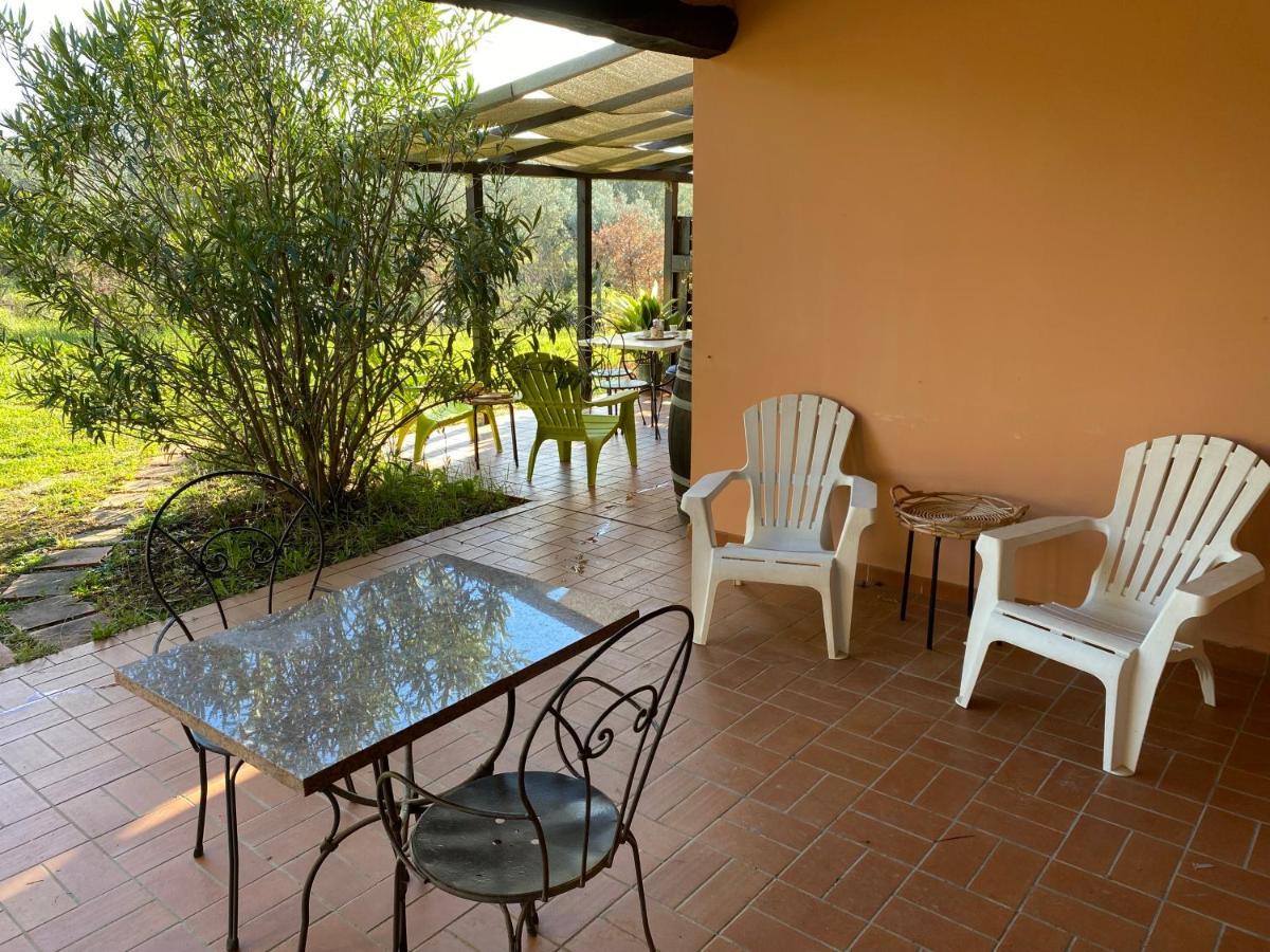 Coliberto Villa Massa Marittima Exteriör bild